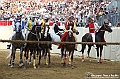 VBS_1244 - Palio di Asti 2024